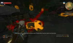 Geralt tropi bazyliszka, używając wiedźmińskich zmysłów. Równowaga w przyrodzie została zaburzona.