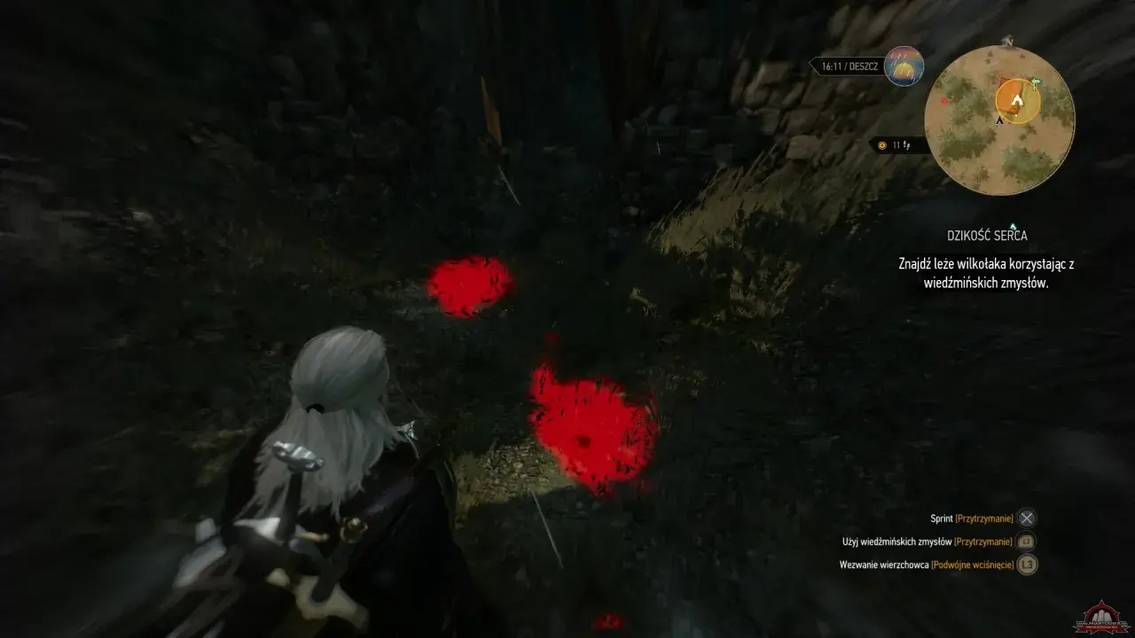 Geralt szuka wilkołaka, podążając za śladami krwi. Misja "Dzikość serca" w Wiedźmin 3.